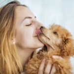 besos perro