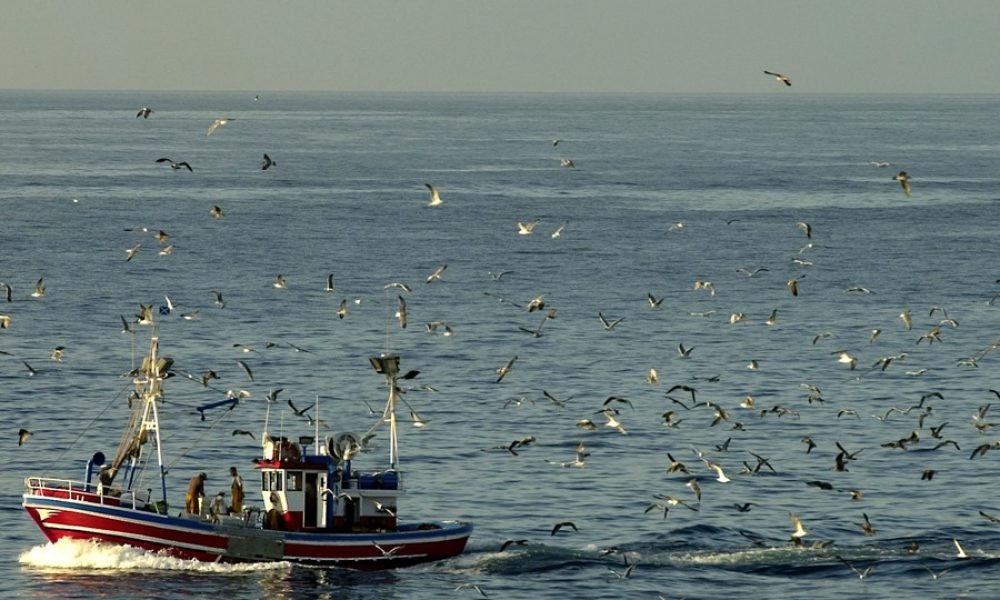 Canarias pide a UE mas atencion y cuotas para la pesca artesanal F0hFdi