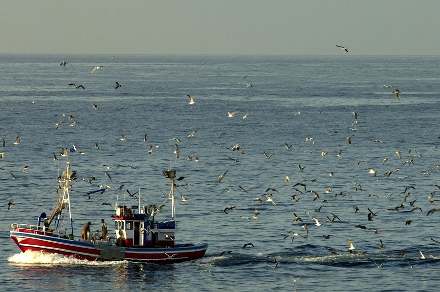 Canarias pide a UE mas atencion y cuotas para la pesca artesanal F0hFdi