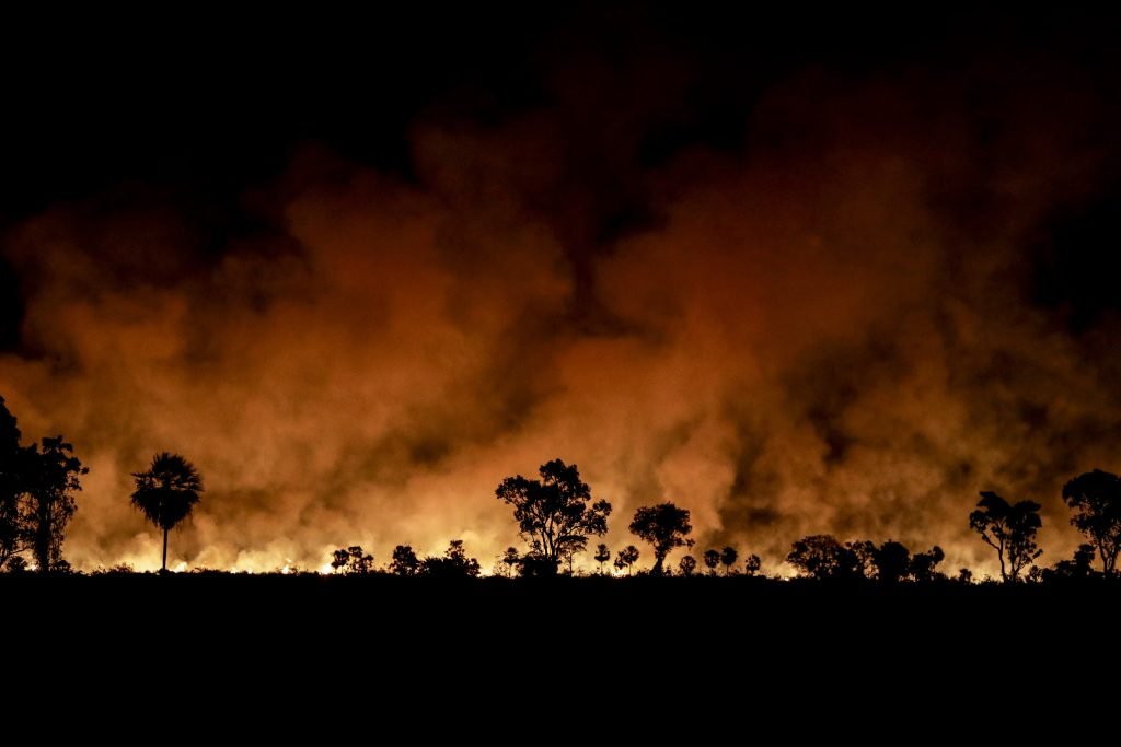 Ayuden a salvar el Pantanal de Brasil reclaman oeneges suramericanas a la UE 1024x683 WwjJJc