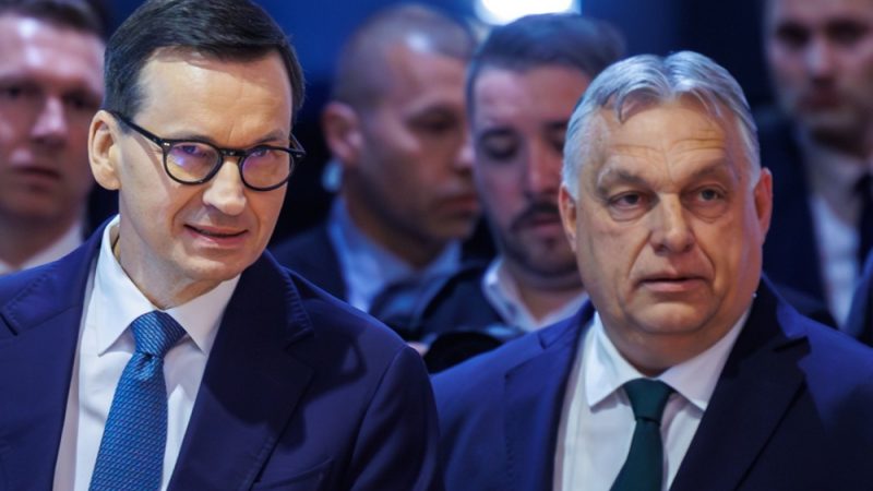 Los conservadores polacos del PiS se alejan de Orban