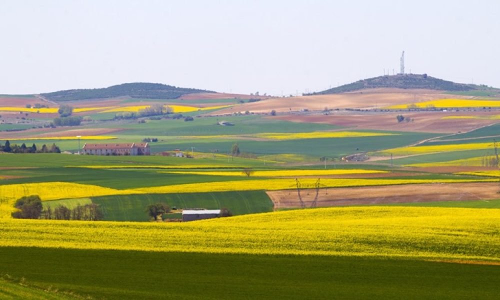 Bruselas debera pagar 10 millones en fondos agricolas a Espana Teucaw