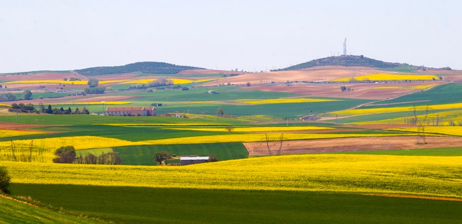 Bruselas debera pagar 10 millones en fondos agricolas a Espana Teucaw