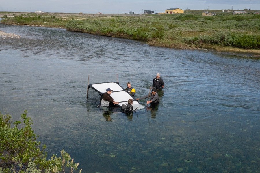 Innovaciones tecnologicas contra el cambio climatico y la perdida de biodiversidad SgVFmw