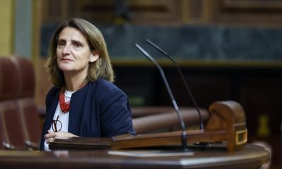 Ribera tendra el respaldo del PPE si su comparecencia sale bien pese a la oposicion del PP XoWnxx