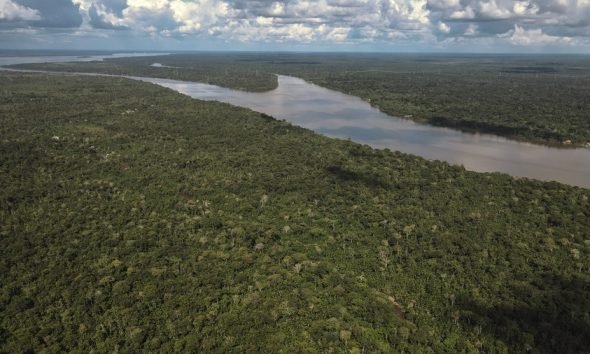 UE tiene un mes para evitar que la ley de deforestacion se aplique en enero de 2025 iVVaMB