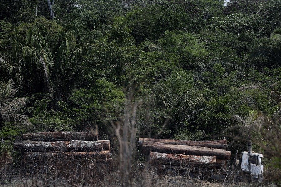 Acuerdo provisional en la UE para aplazar un ano la aplicacion de la legislacion sobre deforestacion AruHqX