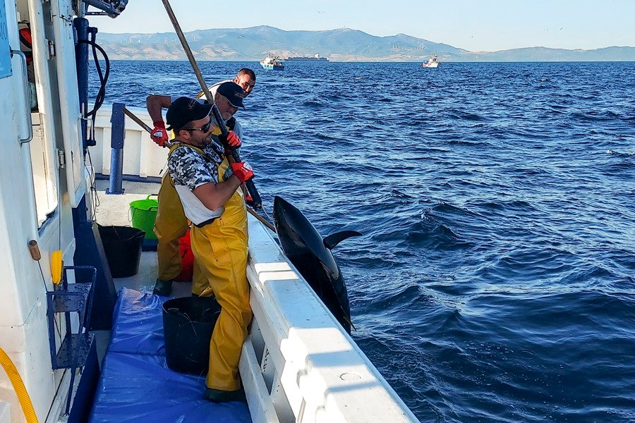 Espana busca bloquear el plan de Bruselas para la pesca en el Mediterraneo wN9mNI